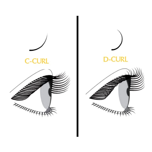 This infographic demonstrates the difference in curl.