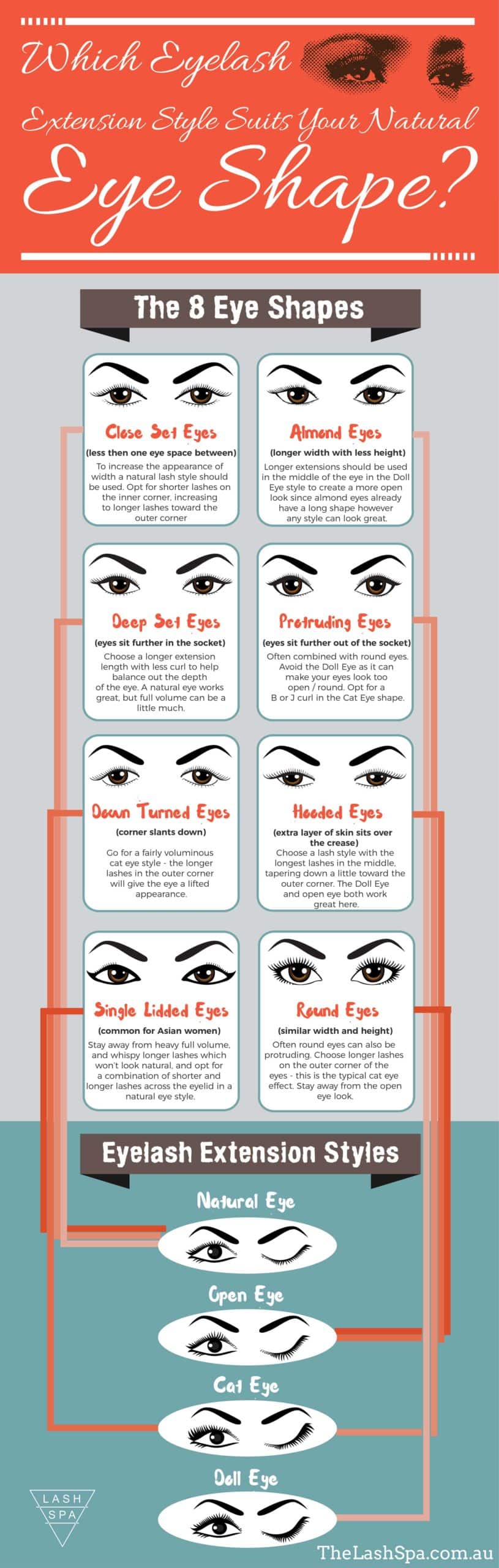 Eyelash Styles Infographic