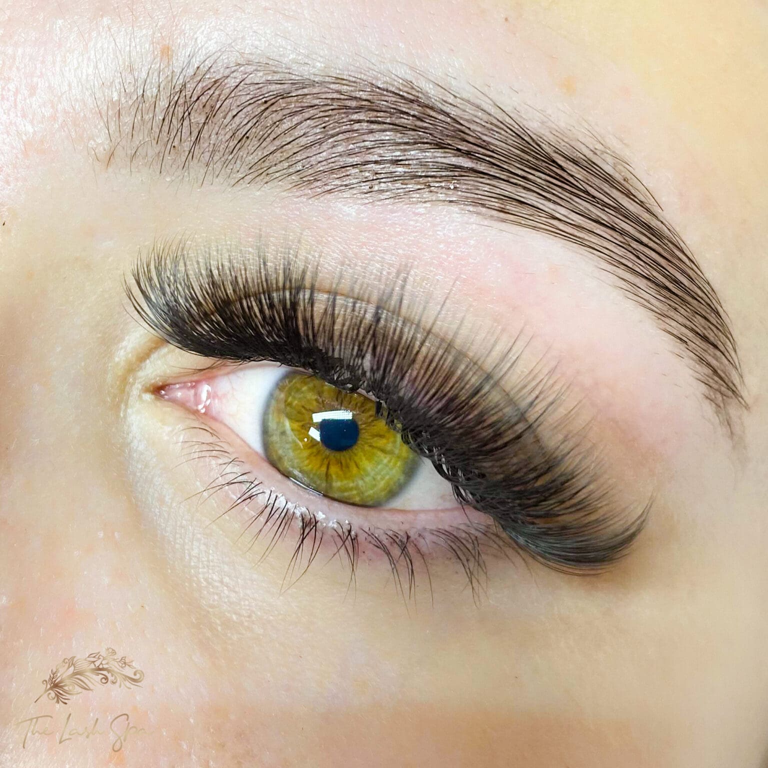 Discover Kim Kardashian's Eyelash Secrets The Lash Spa