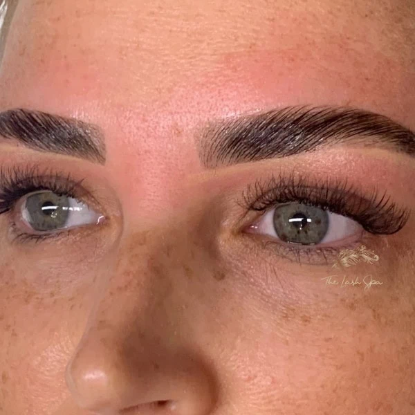 Defined brows after a brow appointment