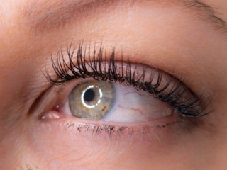 eyelashes for professional women