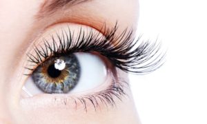 stock image lash extensions