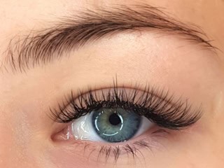 Lash Spa Varsity