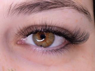 lashes for business women