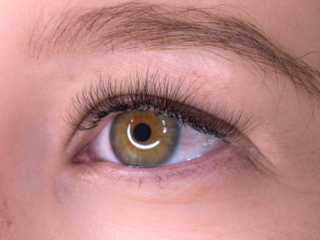 lashes for professionals