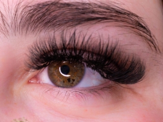 mega volume eyelashes