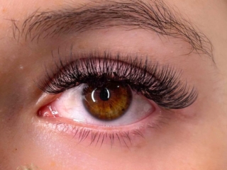 regular volume lashes Gold Coast