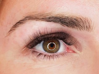 The Lash Spa