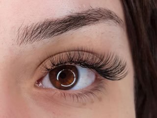 The Lash Spa eyelashes