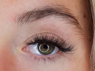 Volume Lashes