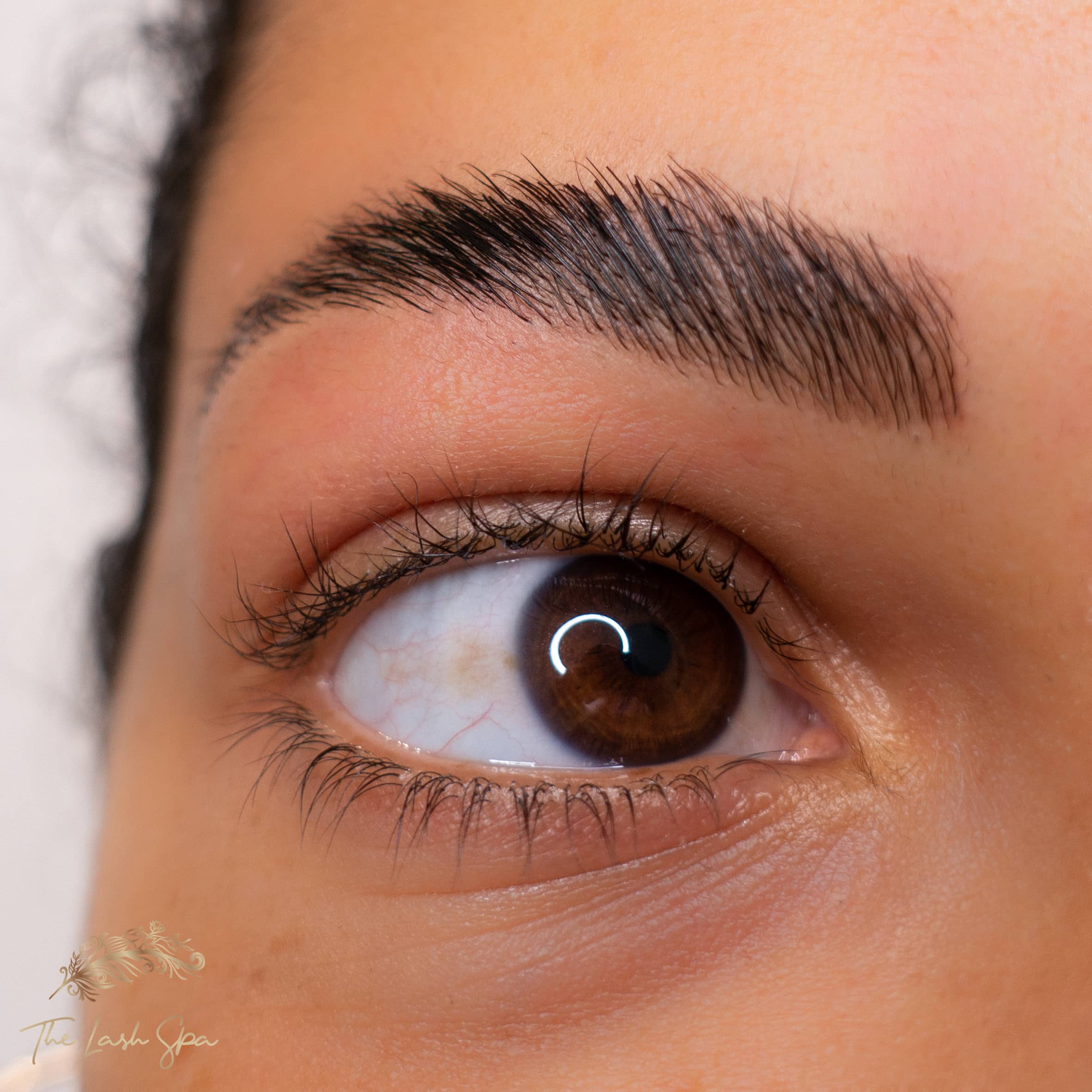 Gold Coast Brow Lamination result with groomed lifted brow hairs