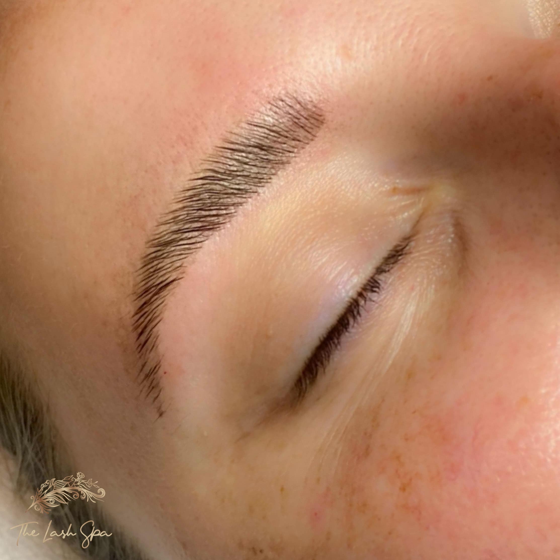 Gold Coast brow lam salon • The Lash Spa