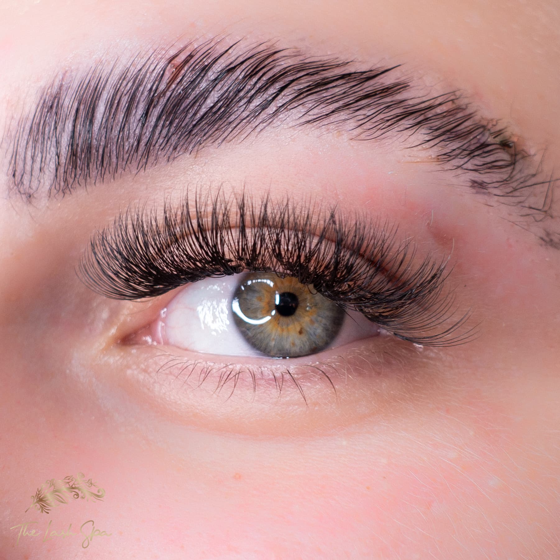 eyebrow lamination Gold Coast • The Lash Spa