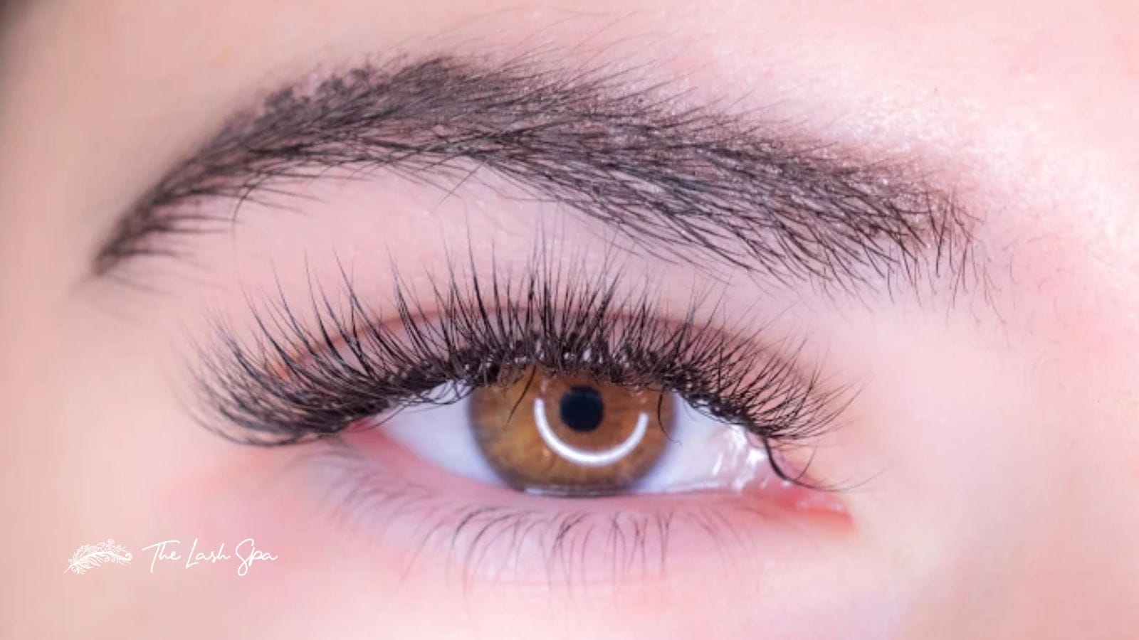 Lash Extension Allergies Causes and Prevention