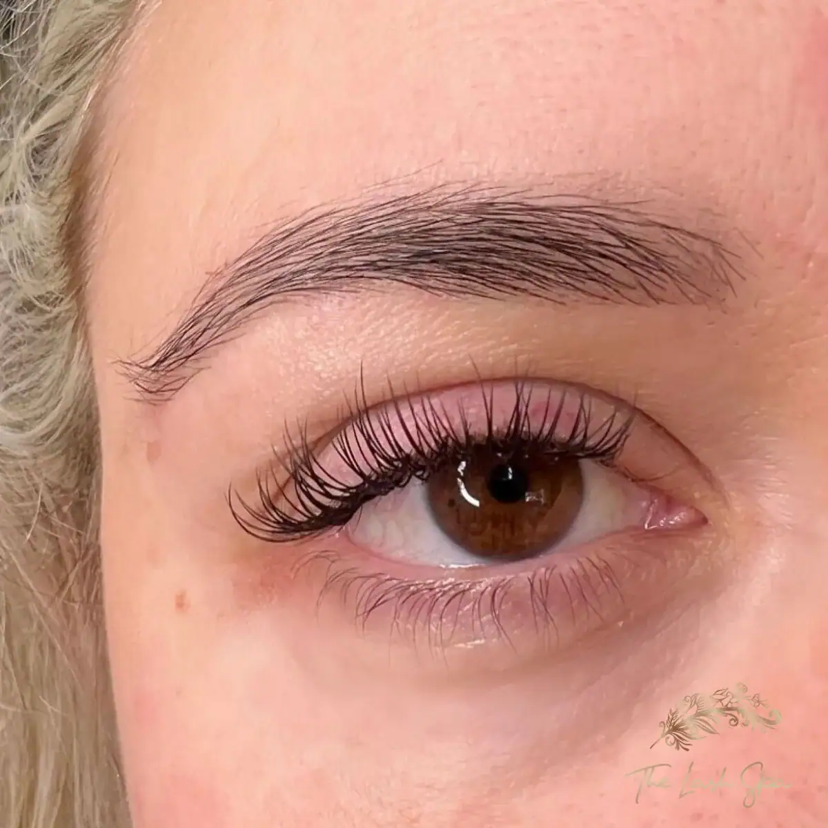 Close view of Tailored Classic extensions on a brown eye