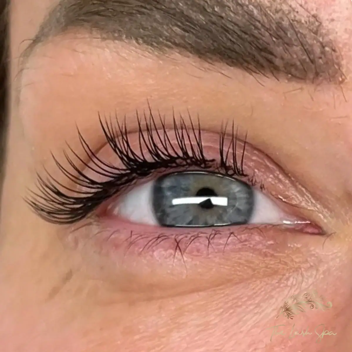 Close view of fine Tailored Classic extensions on a grey eye